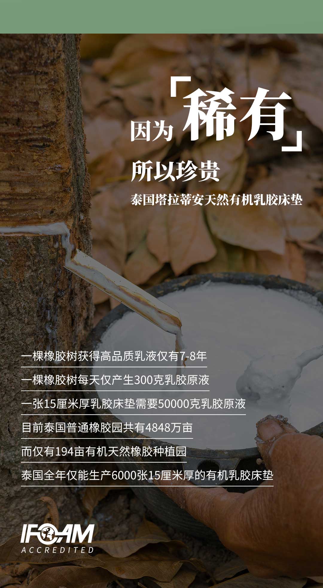 泰国天然乳胶：健康与环保的首选之道_07.jpg