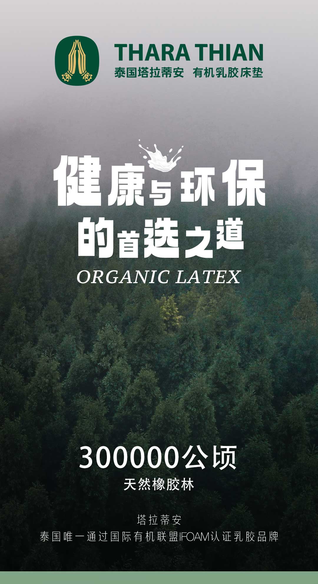 泰国天然乳胶：健康与环保的首选之道_01.jpg